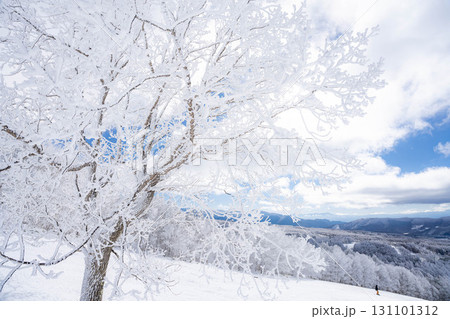 【冬素材】白銀の霧氷の風景【長野県】 131101312