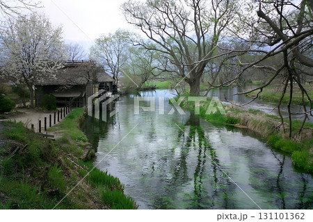 Pure stream / 水車小屋のある清流の早春の風景(日本の田舎の原風景のイメージ) Pure stream / 水車小屋のある清流の早春の風景(日本の田舎の原風景のイメージ) 131101362