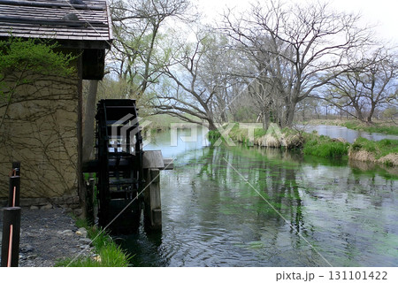 Pure stream / 水車小屋のある清流の早春の風景(日本の田舎の原風景のイメージ) 131101422