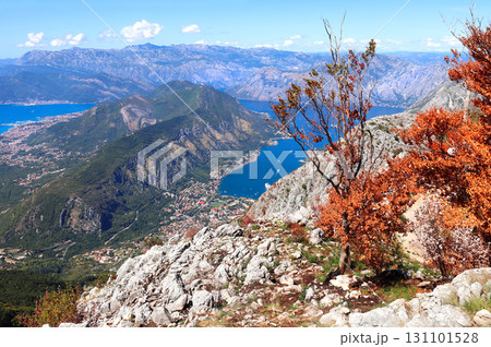 Aerial view of picturesque Bay of Kotor. Top view on famous Boka Kotor bay, Montenegro. Beautiful autumn season scenic. Gulf of Kotor Montenegro, view from Mount Lovcen Aerial view of picturesque Bay of Kotor. Top view on famous Boka Kotor bay, Montenegro. Beautiful autumn season scenic. Gulf of Kotor Montenegro, view from Mount Lovcen 131101528