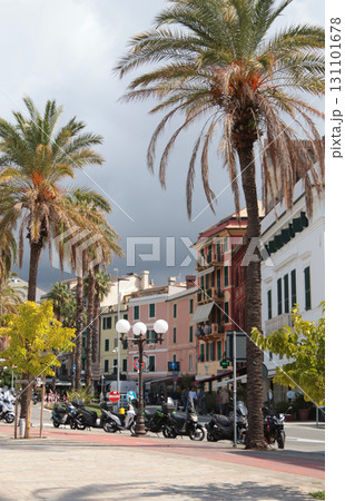 Palm trees, cloudy weather in city. Traditional buildings in Europe, Italy. Nature and plants in summer, Liguria.  131101678