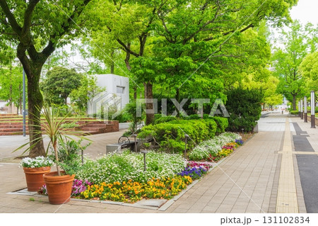 新緑の東遊園地　神戸市中央区にて 131102834