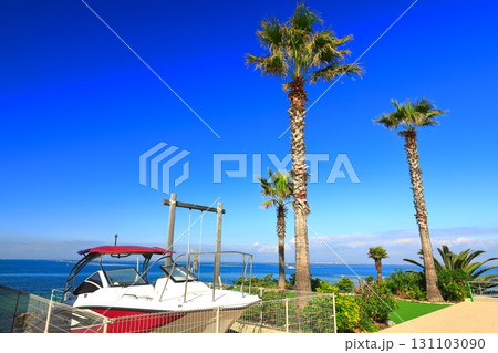 【兵庫県】快晴の淡路テラス（岬のブランコ） 131103090