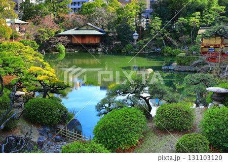 【兵庫県】晴天の相楽園 131103120