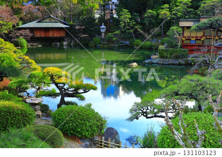 【兵庫県】晴天の相楽園 131103123