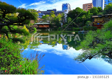 【兵庫県】晴天の相楽園 131103125