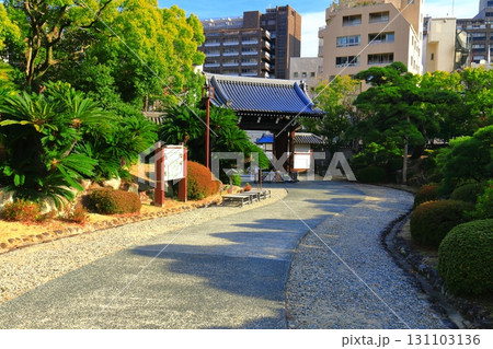 【兵庫県】晴天の相楽園（蘇鉄園と正門） 131103136