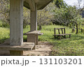 茨城県日立市　諏訪梅林 131103201