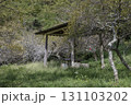 茨城県日立市　諏訪梅林 131103202