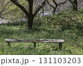 茨城県日立市　諏訪梅林 131103203