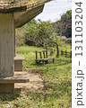 茨城県日立市　諏訪梅林 131103204