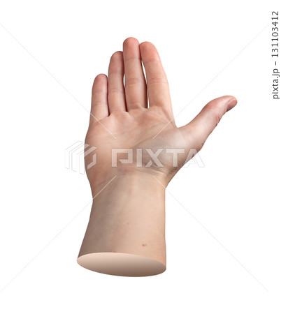 Female hand with palm open and fingers spread forward in an upright position, creating a display or 131103412