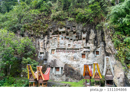 Funeral cliff site of Lemo in Toraja, Sulawesi, Indonesia 131104866
