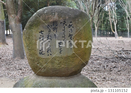 万葉歌碑「秋の野に 咲きたる花を 指(および)折り〜」（春日大社 北参道／奈良県奈良市春日野町） 131105152