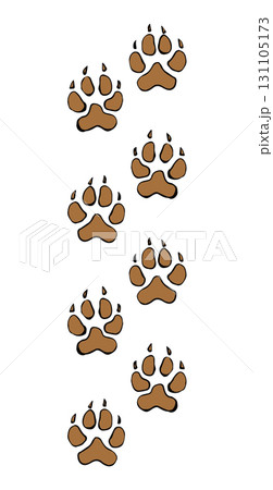 Traces of a bear. Vector drawing 131105173