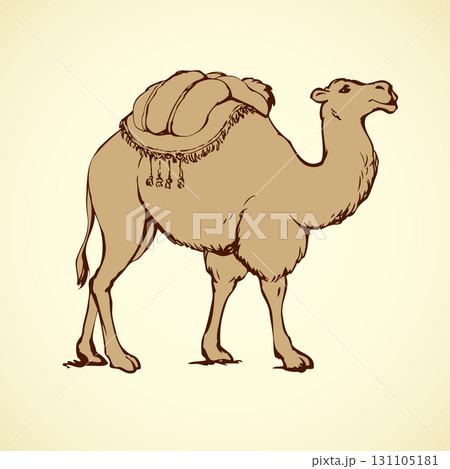 Rhinoceros. Vector drawing 131105181