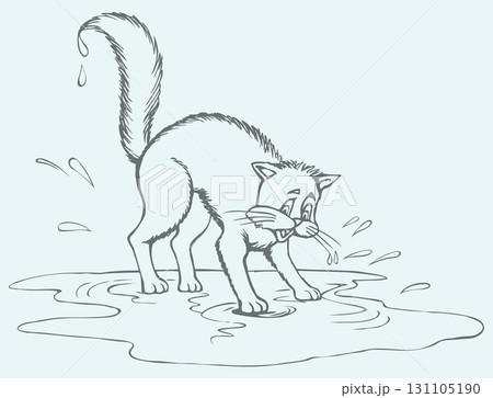 Vector drawing. Scared cat soaked in a puddle 131105190