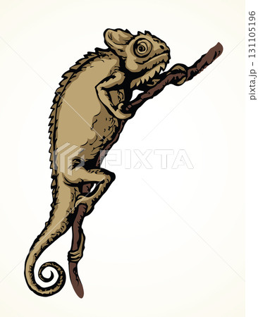 Cute old big Chamaeleon isolated on white backdrop Cute old big Chamaeleon isolated on white backdrop 131105196