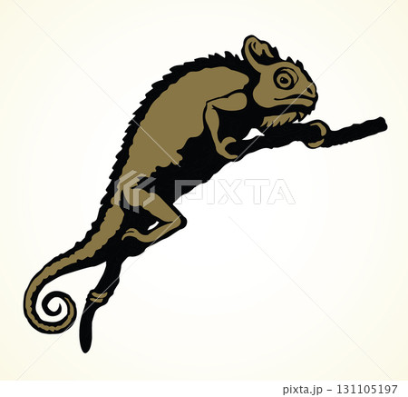 Cute old big Chamaeleon isolated on white backdrop Cute old big Chamaeleon isolated on white backdrop 131105197