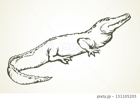 Crocodile. Vector drawing icon sign 131105205