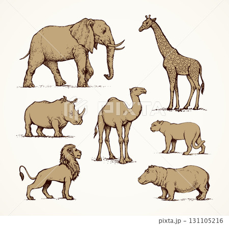 African animals. Vector drawing icon African animals. Vector drawing icon 131105216