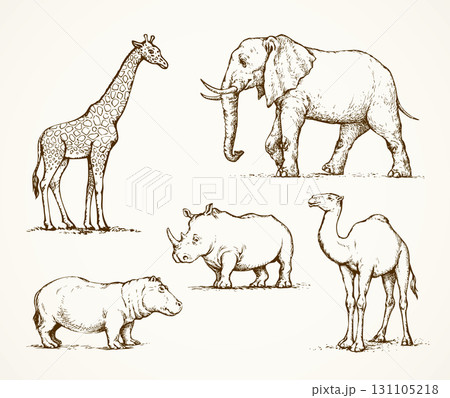 African animals. Vector drawing African animals. Vector drawing 131105218