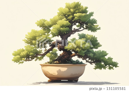 盆栽、盆栽のある盆栽 131105581