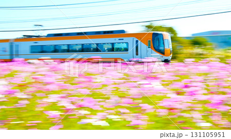 コスモス畑沿線を快走する22000系近鉄特急 コスモス畑沿線を快走する22000系近鉄特急 131105951