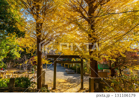 【神奈川県】大きな銀杏が美しい鎌倉の葛原岡神社 【神奈川県】大きな銀杏が美しい鎌倉の葛原岡神社 131106179