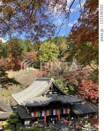 紅葉に包まれた秋の岡寺 131106502