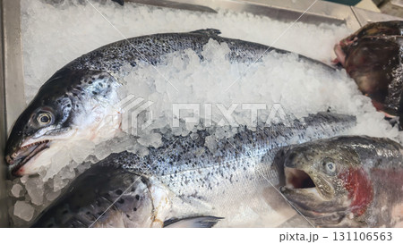 Frozen sea and freshwater fish on a supermarket shelf Sliced and whole Seafood 131106563