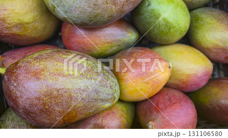 Large mangoes in large crates on store shelves. Fruit display and sale 131106580