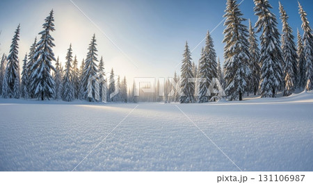 Snow Covered Evergreen Trees Under Clear Blue Sky in Winter Landscape 131106987