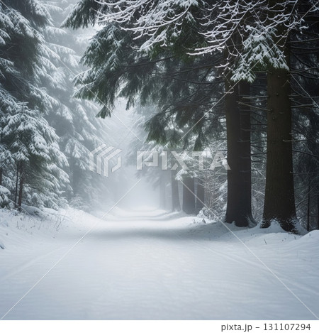 Snowy Forest Path with Tall Evergreen Trees and Soft Fog in Winter Landscape 131107294
