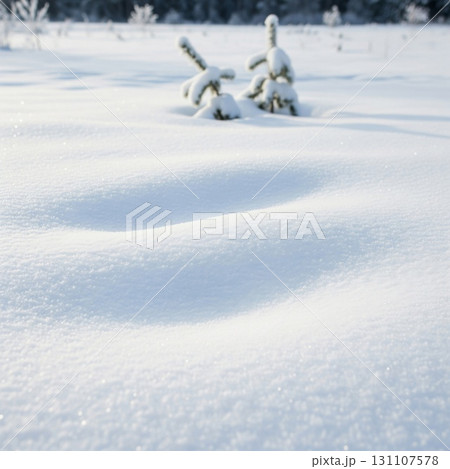 Snowy Landscape Featuring Fresh White Snowdrifts and Small Spruce Trees on Sunny Day 131107578