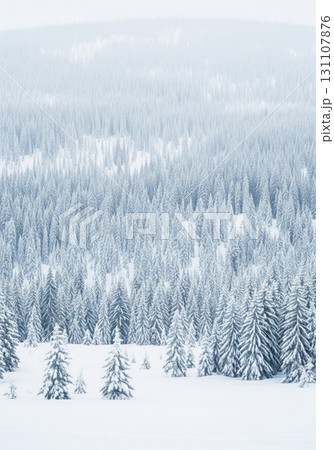 Snow Covered Evergreen Trees on a Hillside on an Overcast Day 131107876