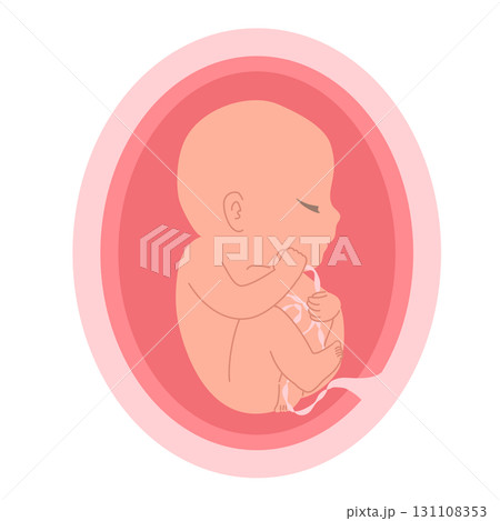Cartoon Illustration Of Baby In Mother Womb Isolated On White 131108353