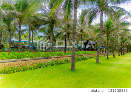 The territory of the hotel.   131108551