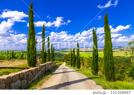 typical scenery of Tuscany with cypresses trees in countryside, Italy 131108687