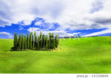 minimalism in nature - green hills of vall d'Orcia, Tuscany, Italy 131108689