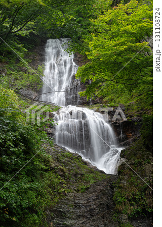 新緑の森と美しい滝 唐沢の滝 新緑の森と美しい滝 唐沢の滝 131108724