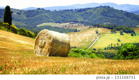 pictorial rural landscapes of Tuscany, Italy pictorial rural landscapes of Tuscany, Italy 131108731