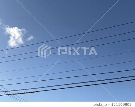 楽譜のような電線 131109903