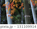 竹林と紅葉の秋の風景 131109914