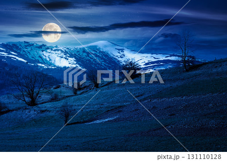 mountainous countryside landscape in spring at night. grassy field on slope of a hill. mountain ridge with snow capped tops in the distance in full moon light. sunny weather with clouds on the sky mountainous countryside landscape in spring at night. grassy field on slope of a hill. mountain ridge with snow capped tops in the distance in full moon light. sunny weather with clouds on the sky 131110128