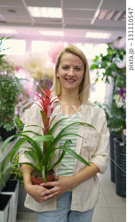 Woman florist holding a guzmania lingulata plant in a flower shop Woman florist holding a guzmania lingulata plant in a flower shop 131110547