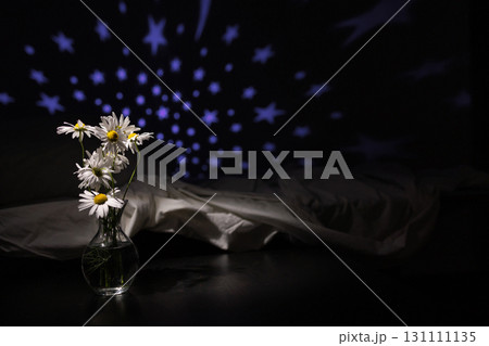 Daisies in Vase With Star Projections on Wall in Dark Room 131111135