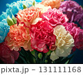 カーネーション　 131111168