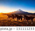 馬 131111233