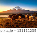 馬 131111235